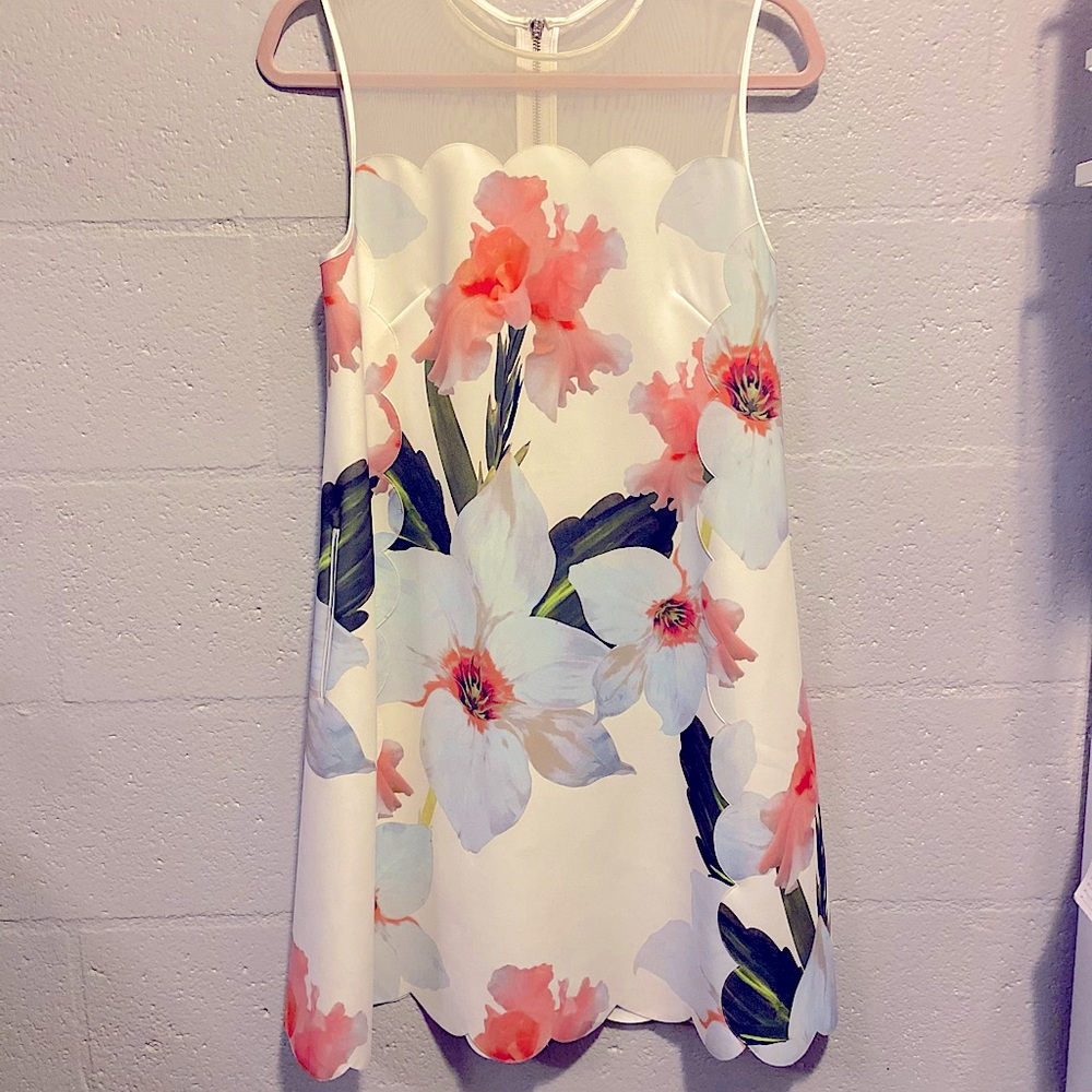 Ted Baker Caprila dress size 2